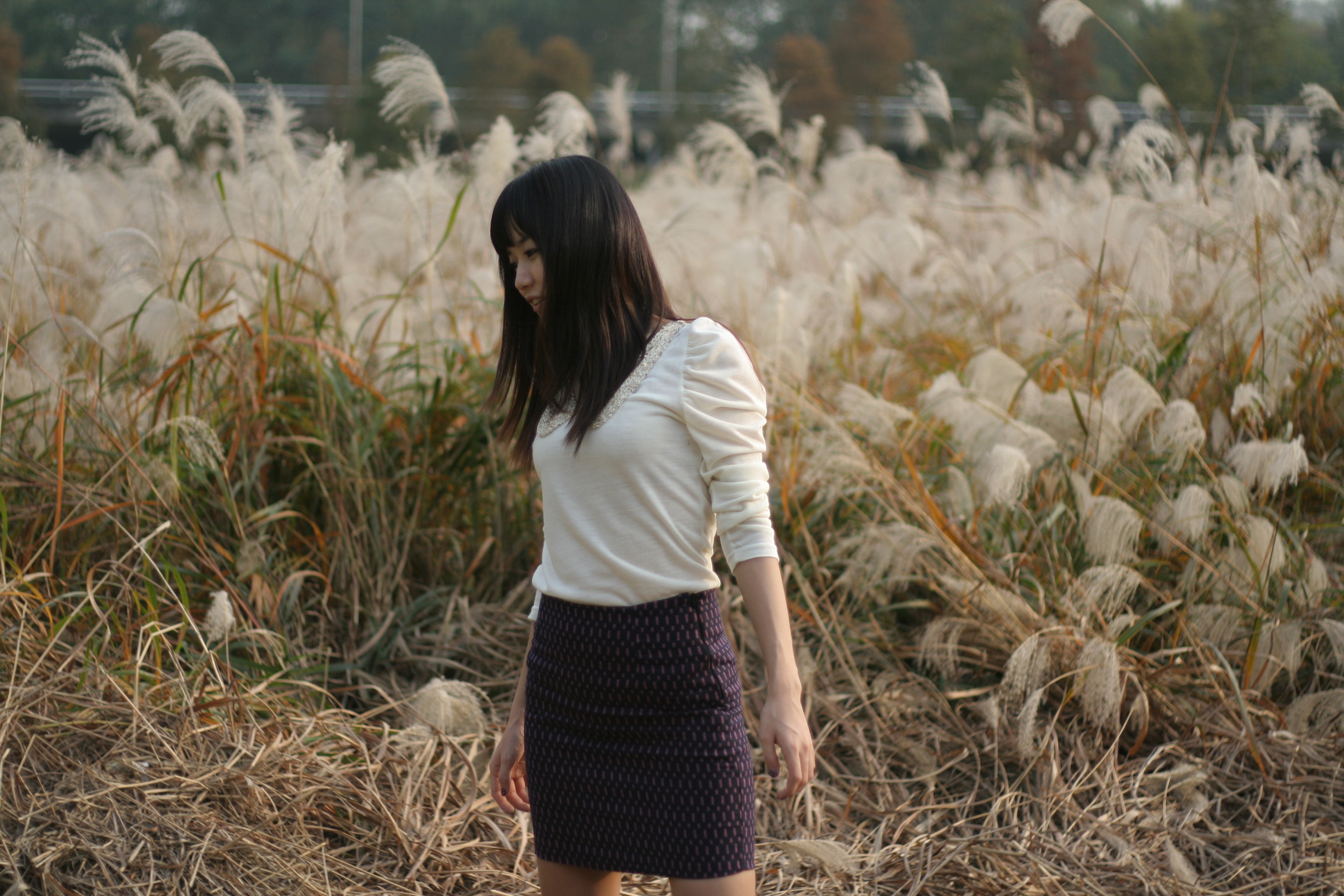 미분류 / 무명 소프트 904장